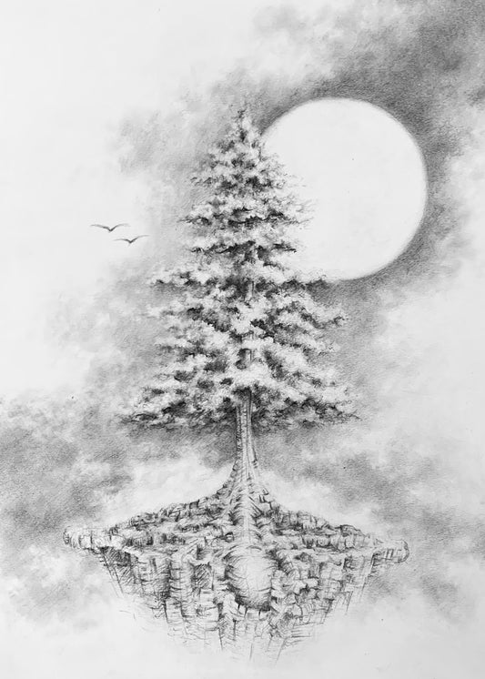 Hikikomori Pine